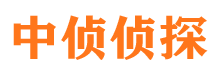 武安市私家侦探